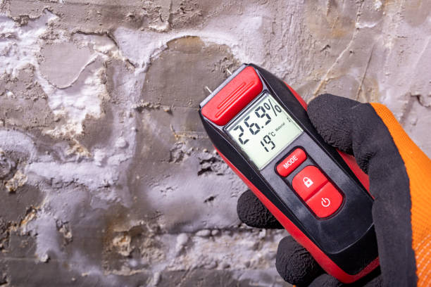 Best Residential Mold Remediation in Johnston, IA